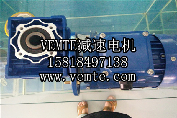 蝸輪減速機，渦輪減速機,RV減速電機 (2)